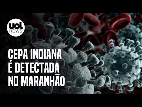 Vídeo: Onde e em quais países o coronavírus foi detectado hoje