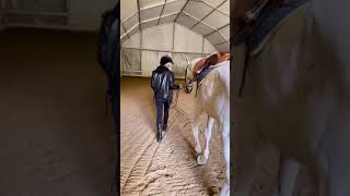 Diletta Leotta Cavallo