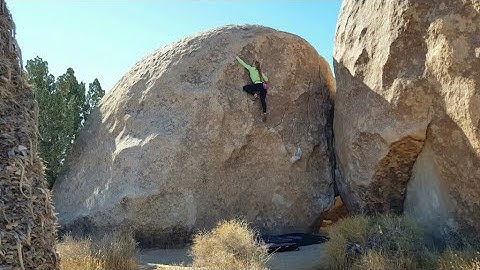 X-Men*** (NOT V5) Flash - Joshua Tree