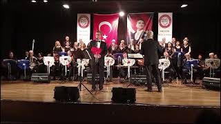 Tuluğ Sungun - Rüzgarlara Kapılmış Kuru Yaprak Misali. Resimi