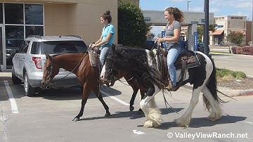 Riverstone Storm Chaser and Stylish Molly Rey - riding in town! - ValleyViewRanch.net