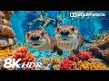Exploring Incredible Underwater Creatures in 8K HDR | Dolby Vision™