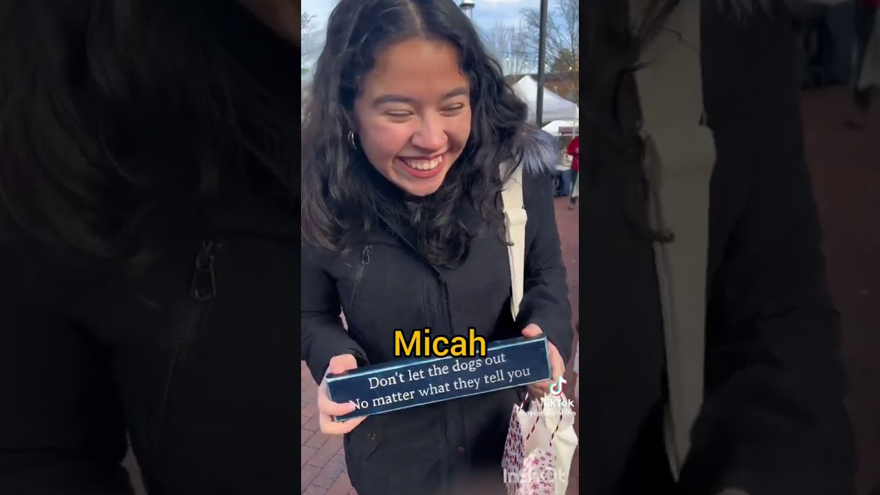 red dead redemption 2 as tiktoks so I can finally haunt some beavers