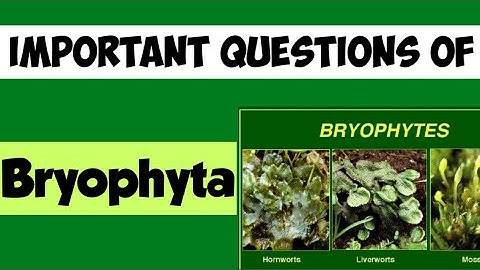 Important questions of Bryophyta for all competitive exams||#bryophytes