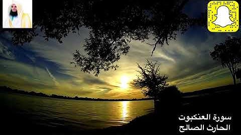 والذين جاهدوا فينا لنهدينهم سبلنا .. تلاوة من صلاة الفجر للقارئ الحارث الصالح ١٤٤١هـ