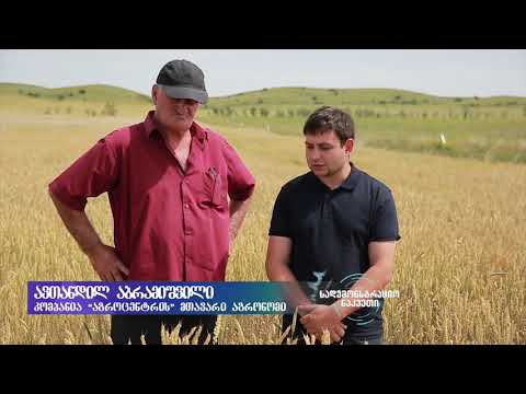 სადემონსტრაციო ნაკვეთი,ხორბალი,სართიჭალა,06,06,2019