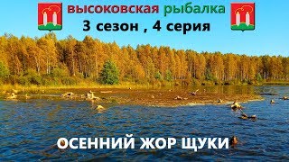 ловля щуки на колебалки. ОСЕННИЙ ЖОР ЩУКИ