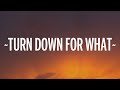 Capture de la vidéo Dj Snake, Lil Jon - Turn Down For What (Lyrics)