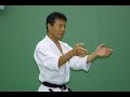 Unsu kata seminar by mikio yahara moscow 2003