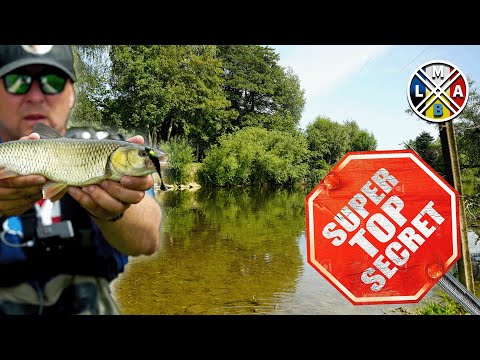 Ces abonnés me montrent leur meilleur spot de pêche au brochet !(ouverture  carnassier 2023+concours) 