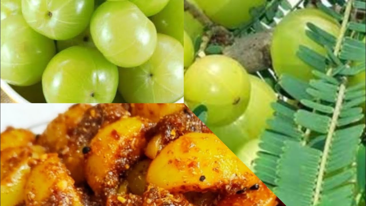 Instant Amla Achaar #cooking #food #viral 🔥 - YouTube
