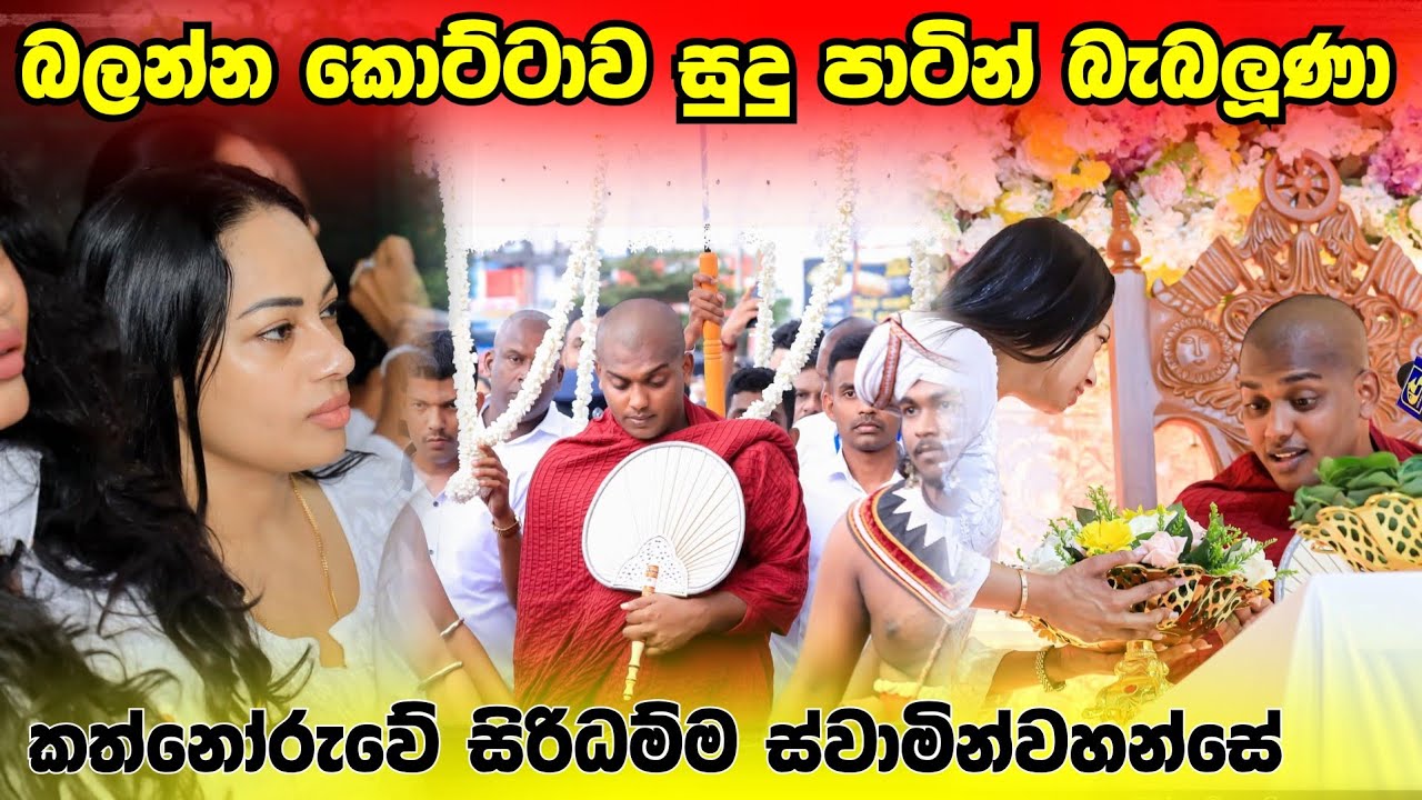 කොට්ටාවේ දේශනාවේ විශේෂ අවස්ථා මෙන්න