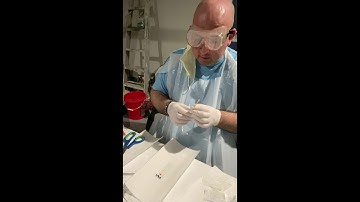 Lab 5  Bacterial Morphology & Staining Techniques  Experiment Video