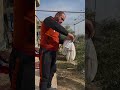 اكسبلور طريقة صنع اللبنه السورية ريف حمص غازي السلوم