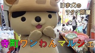 寺町ワンわんマルシェ2019年6月16日in桑名　はまぐり犬