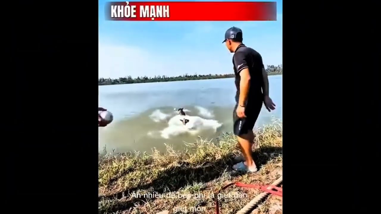 BÉO PHÌ = HẠI CHÓ. VẬN ĐỘNG = YÊU THƯƠNG 