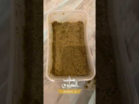 صبخة عشبة الكب ار الشفلح مفيدة للركب والدسك والعمود الفقري