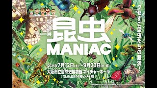 花の周りを飛ぶ虫はいつも : Kei Tanaka サイン入り 花の周りを飛ぶ虫はいつも : Kei Tanaka サイン入り Amazon.co