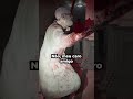 Resident Evil 9 de graça... será?