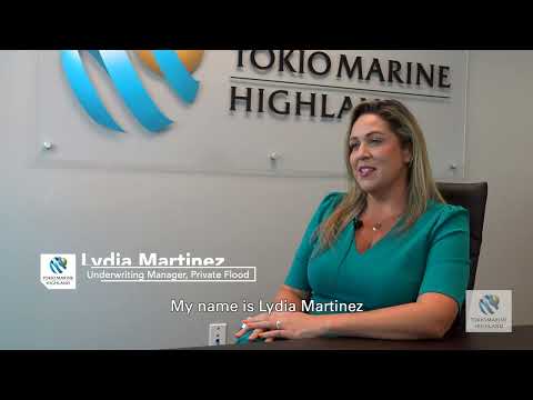 Insurance Careers at