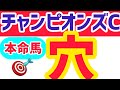 【チャンピオンズカップ2024】【本命馬】レモンポップ、ウィルソンテソーロ、両馬に不安要素あり！