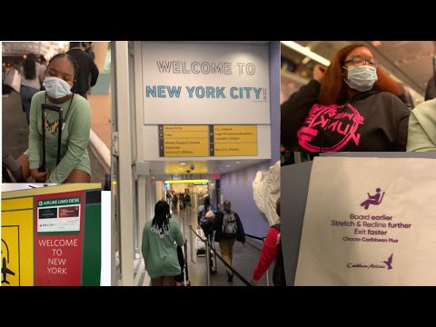 ✈️ My FIRST TRAVEL VLOG | Travel with me to New York City | Trinidad Youtuber | TheLivingDollyChanel