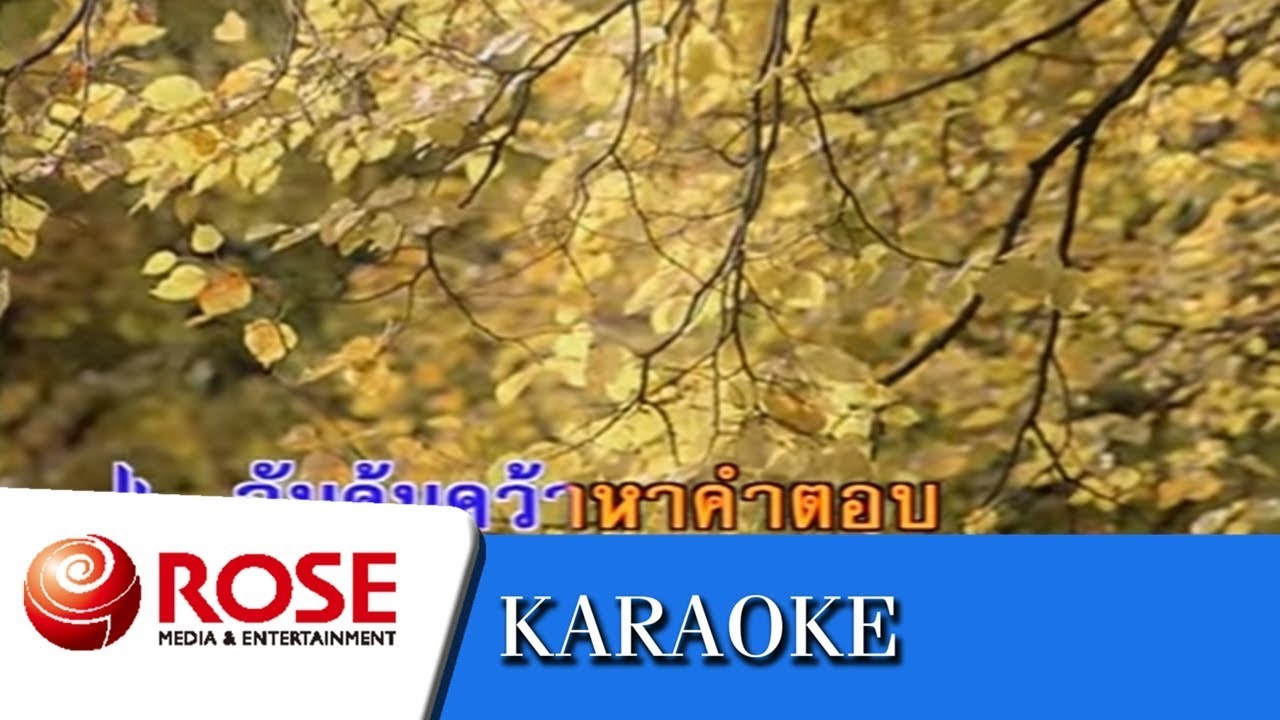 นิดหนึ่งพอ - ดนุพล แก้วกาญจน์ (คาราโอเกะซาวด์ดนตรี)