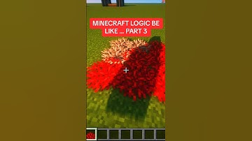 MINECRAFT LOGIC BE LIKE … PART 3