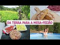 Como fao broa de milhoportuguesa no campovidanocamposimpleliving