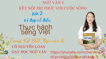 Bài: Thực hành tiếng Việt trang 45 (hay nhất) - Bài 2: Vẻ đẹp cổ điển -  Ngữ Văn 8 Kết nối tri thức