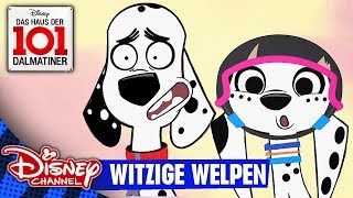 Das Haus Der 101 Dalmatiner Shorts Witzige Welpen Disney Channel Youtube