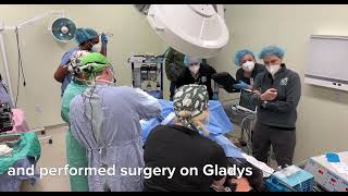 Help for Gladys | Cincinnati Children's by Cincinnati Children's 407 views 1 month ago 1 minute, 6 seconds