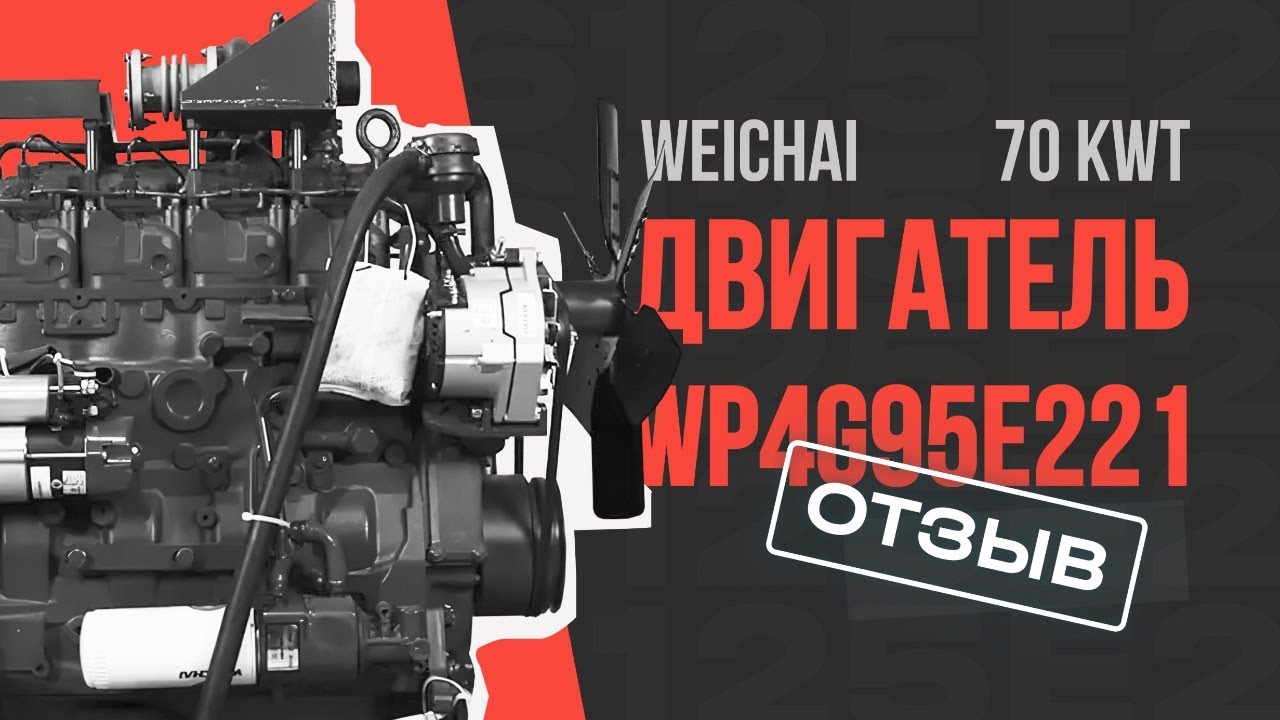 Двигатель weichai wp4g95e221