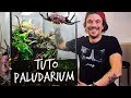 Tuto paludarium  un paradis pour mes crabes vampires  toopet