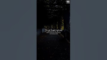 فَأَصَابَهَا إِعْصَارُ فِيهِ نَارُ | الشيخ ماهر المعيقلي | سورة البقرة #قرآن