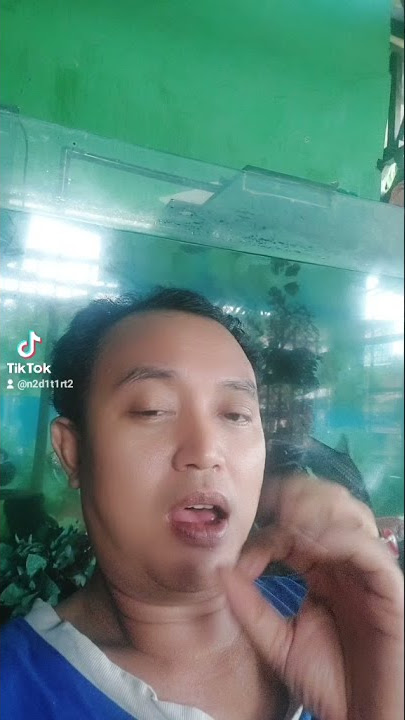 wali: Langit dan Bumiku
