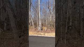 1579 Timberwood Trace, Monteagle, Tennessee Front Twirl