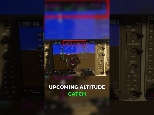 Autopilot Status Revealed: Green vs. White Modes!