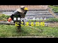 農業女子；草刈り「鬼の爪；スーパーブレード」