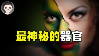 人體最詭異的器官，是超能力還是進化優勢？| 回到Axton