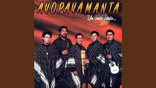 Video thumbnail of "Ayopayamanta - Flor de Tani Tani"