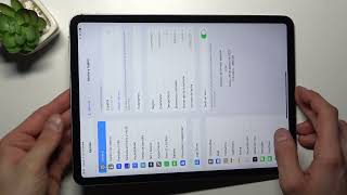 Cómo cambiar la región en iPAD Pro 4ª generación screenshot 5