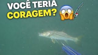 Quando Olhei Pra Frente, O Coração Disparou