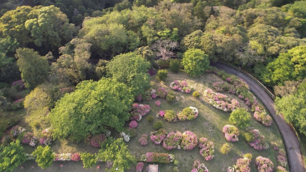 鹿屋市大姶良町・横尾岳公園