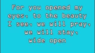 The Cranberries - Analyse (Lyrics)