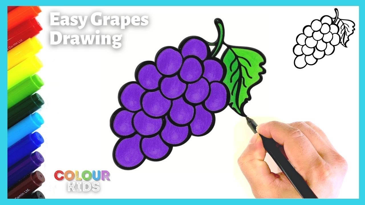 Hand Drawing of Fresh Juicy Assyrtiko Grapes Drawing by Iam Nee - Pixels
