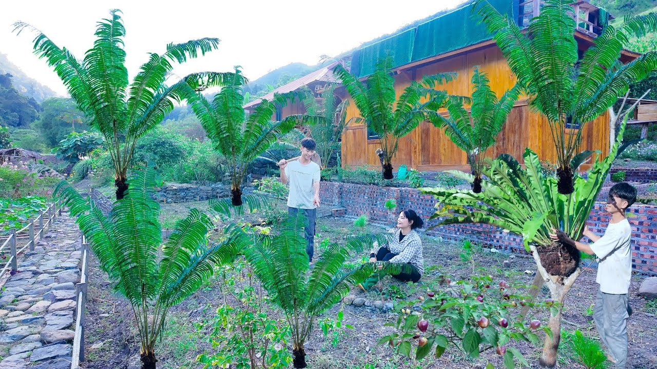 Создайте ФЕРМУ МЕЧТЫ на пустоши и вырастите пышный зеленый сад!