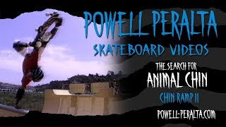 THE SEARCH FOR ANIMAL CHIN CH.10 CHIN RAMP II