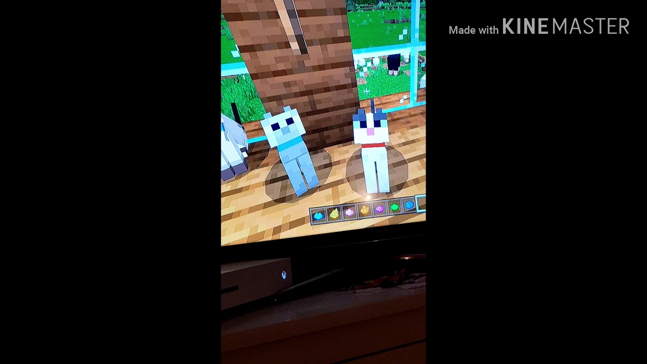 Help Me Name My Minecraft Cat! - YouTube