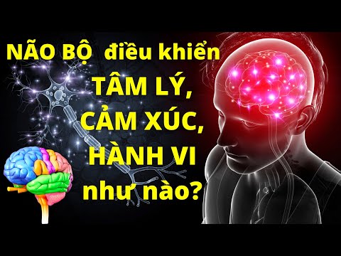 Video: Nhớ lại và ghi nhận trong tâm lý học là gì?